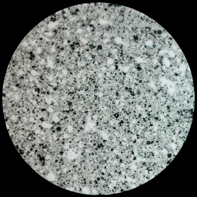 Close-up of speckled granite with white, gray, and black mineral patterns.