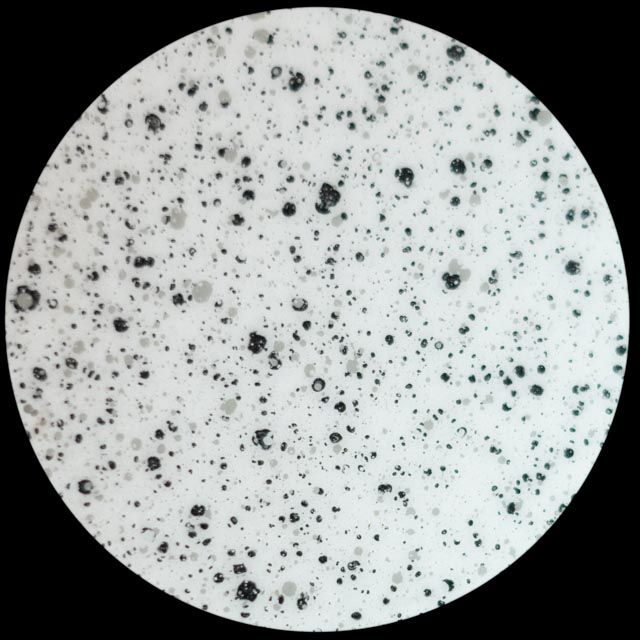 Speckled white circular surface with scattered black and gray spots.