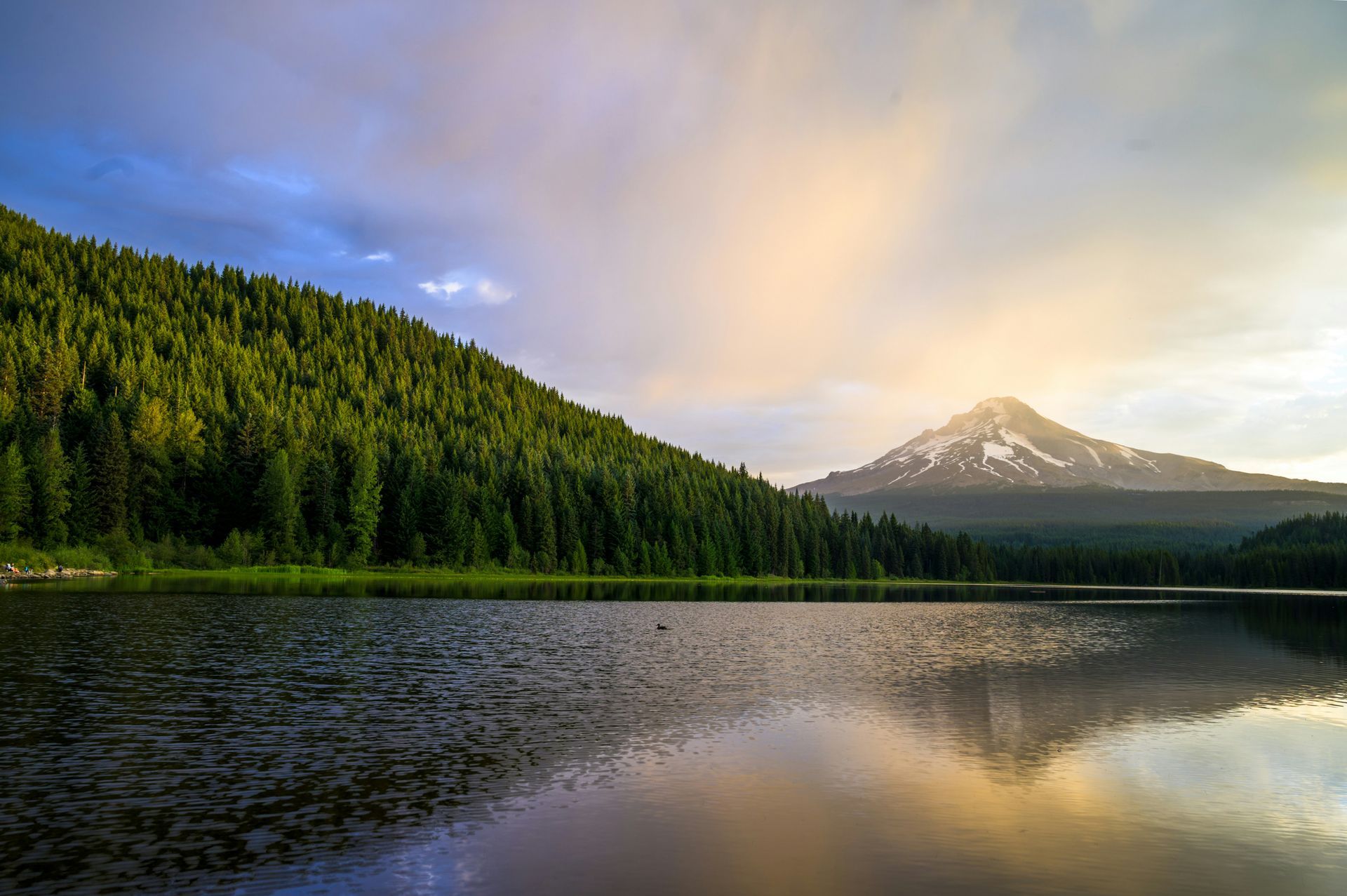 Sunrise over a forested lake with a snow-capped mountain reflected in calm water