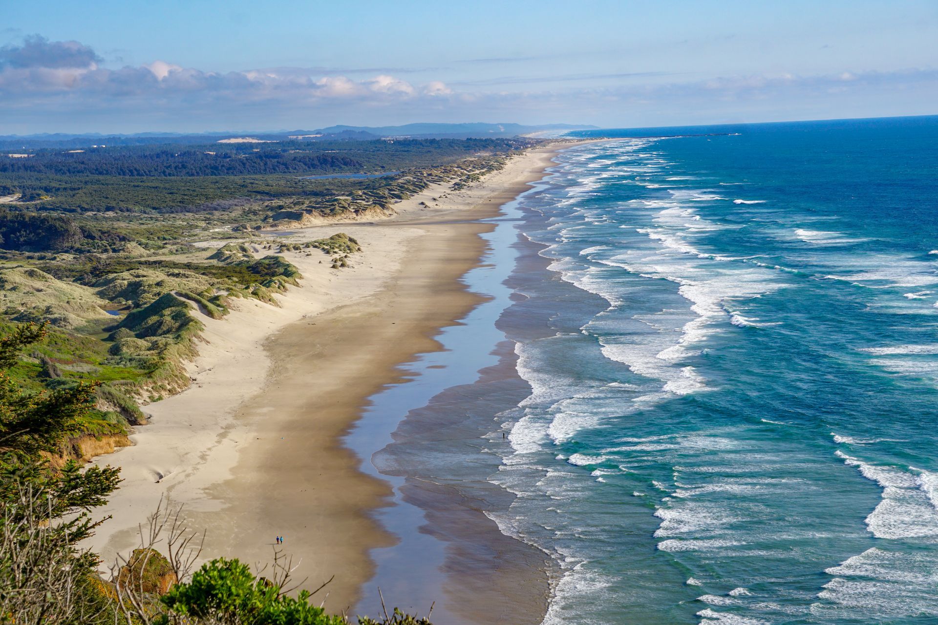 Aerial view of a long sandy beach with blue ocean waves and green dunes along the coast