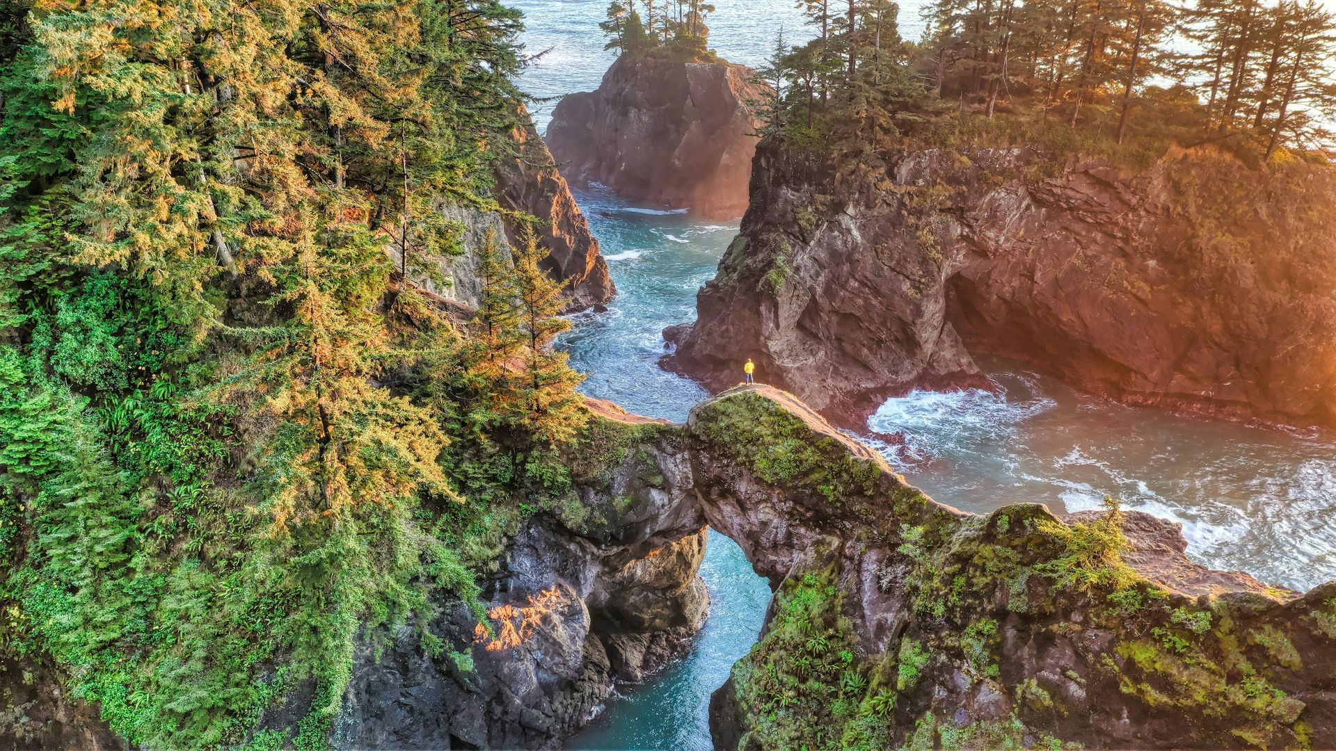 Rocky coastal arch covered in green moss, with turquoise water and sunlit cliffs under trees.