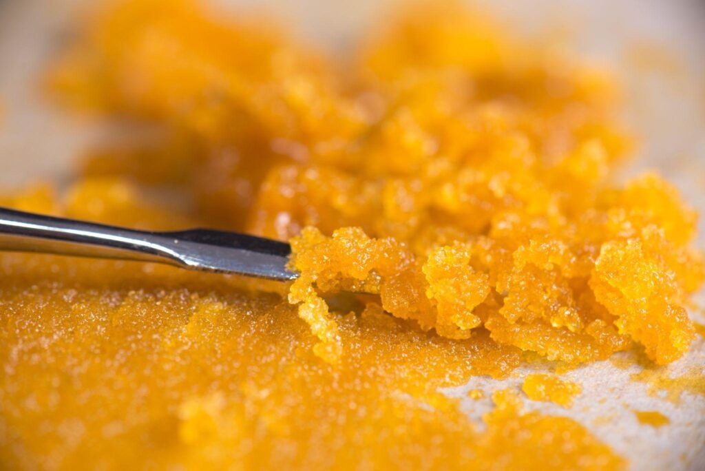 cannabis concentrates with a metal tool