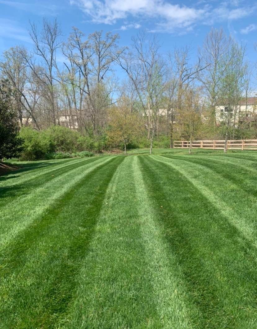 Well manicured lawn