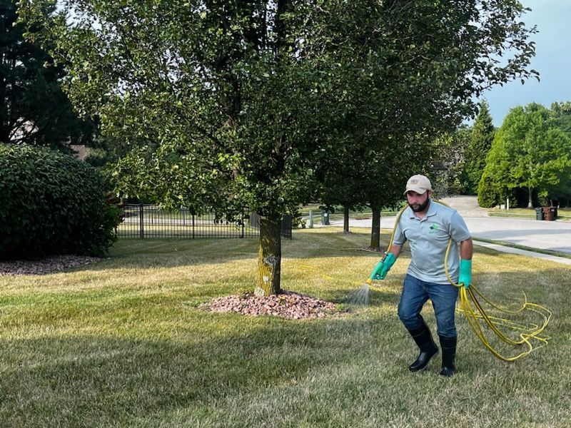 Lawn Care Fresh Cut Mow