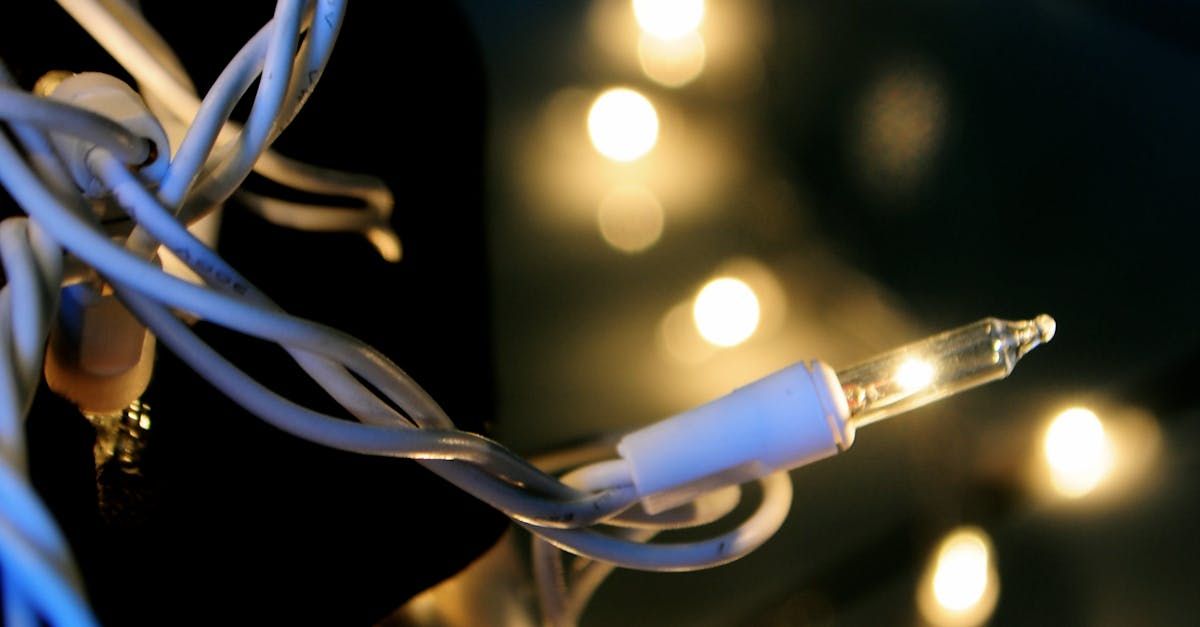Holiday Lights Design Setup Removal
