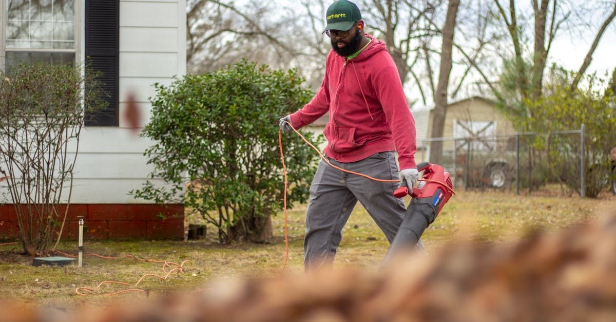 Yard cleanup