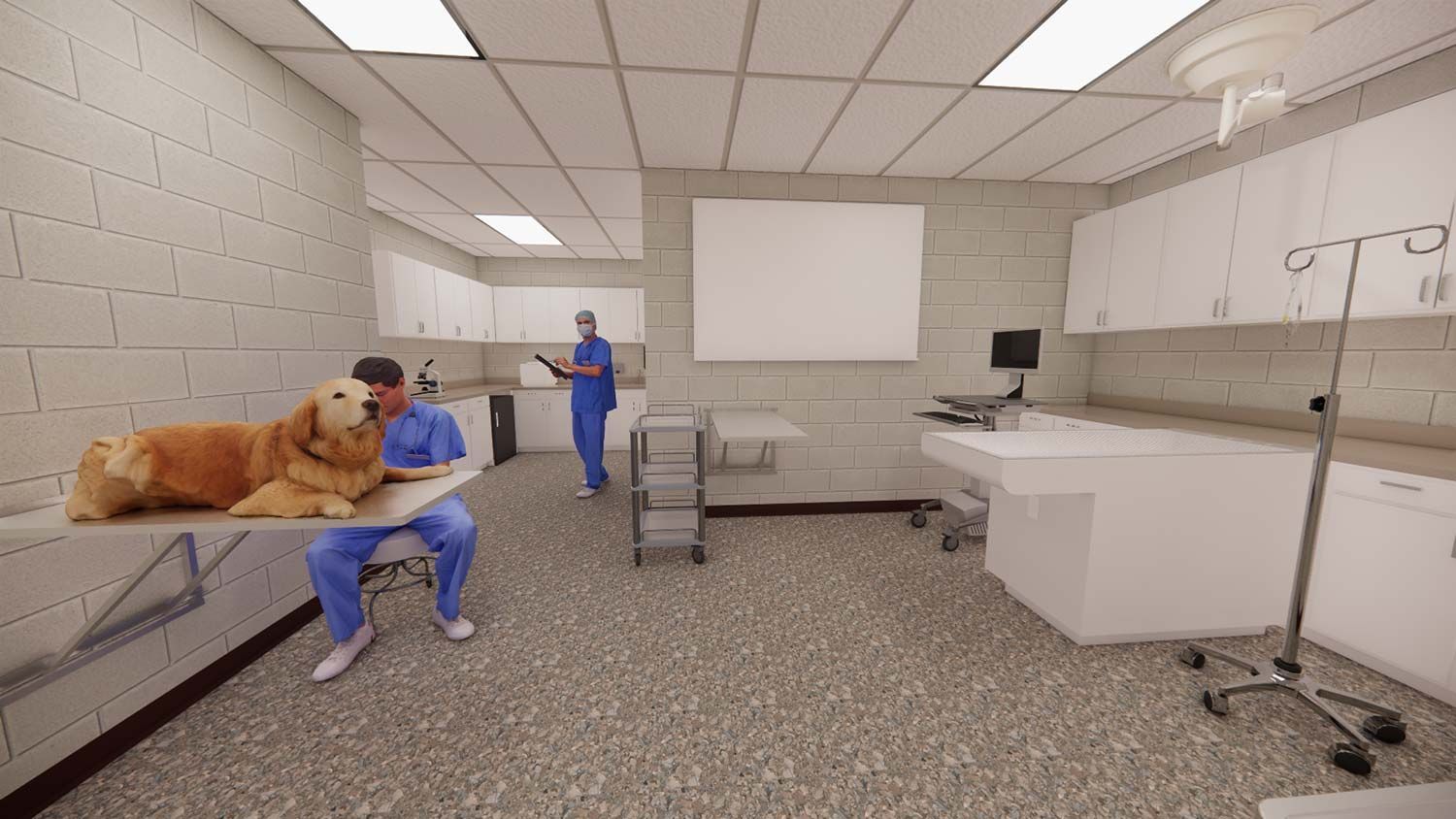 Dog on a blue-covered bench in a veterinary exam room, with a person in blue scrubs nearby.