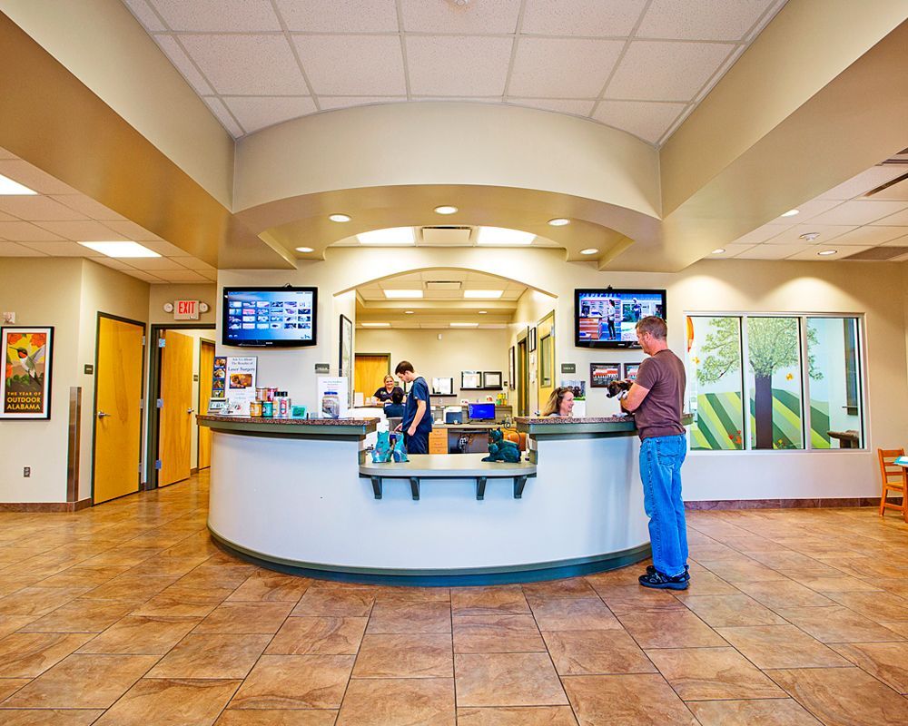 Curved reception desk and check-in area with staff member at Flint River Animal Hospital