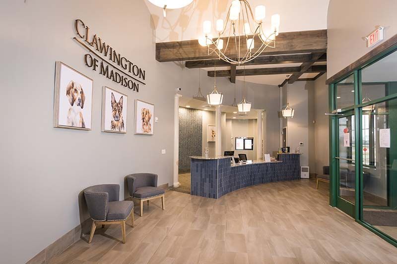 Clawington of Madison reception lobby with chandelier, wood beam ceiling, and branded wall signage
