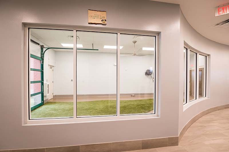 Indoor dog run, Animal Health Care Center