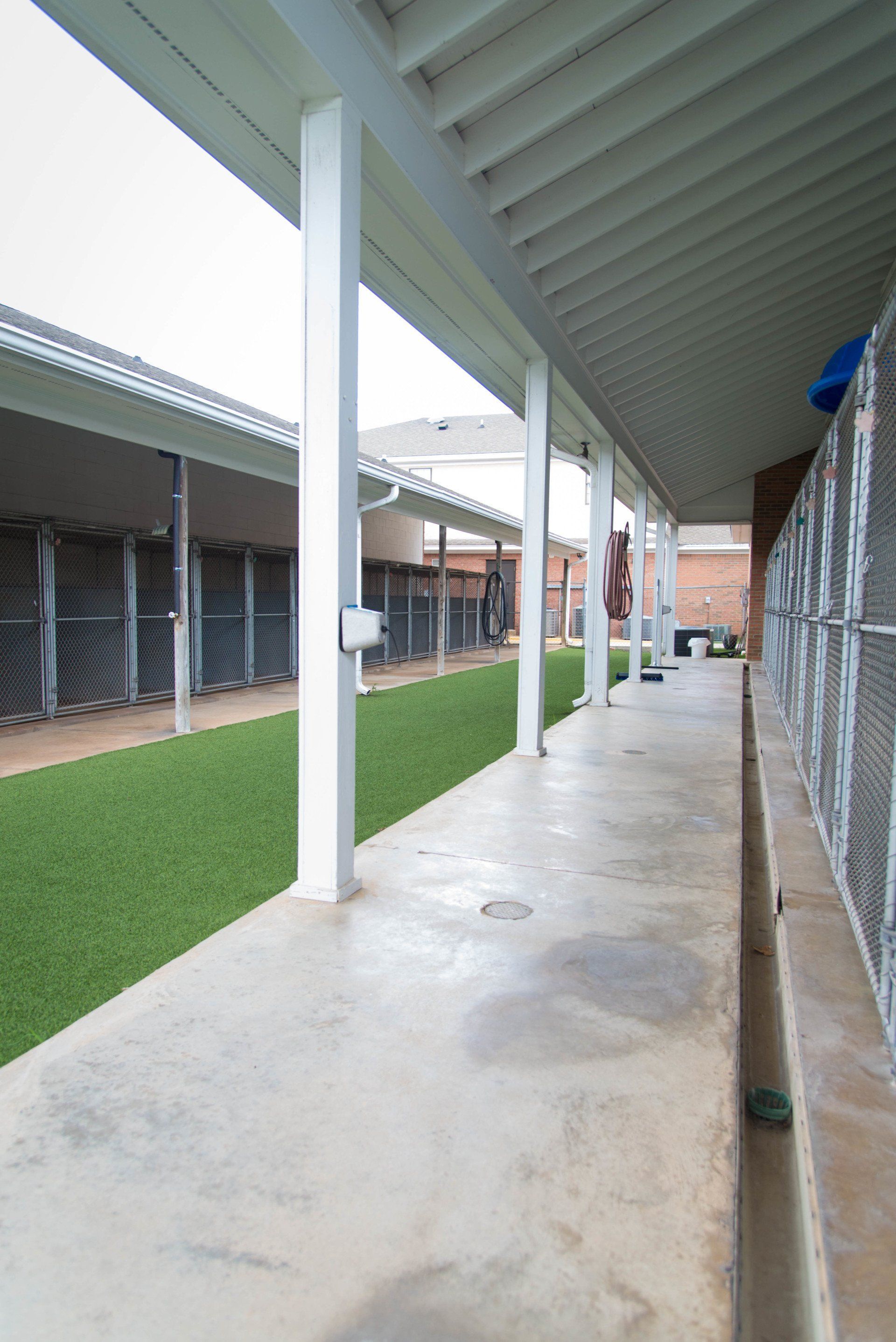 Covered outdoor kennel runs with concrete flooring at Cobbs Ford Pet Health Center