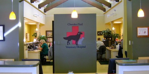 Interior lobby with branded Cherokee Trail Veterinary Hospital wall sign and waiting area
