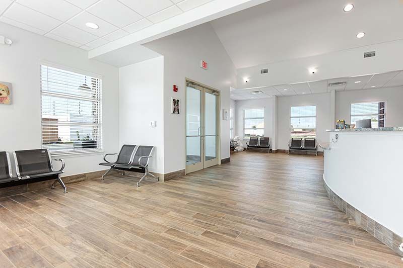 Bright interior corridor with natural light and wood flooring at Critter Care veterinary clinic