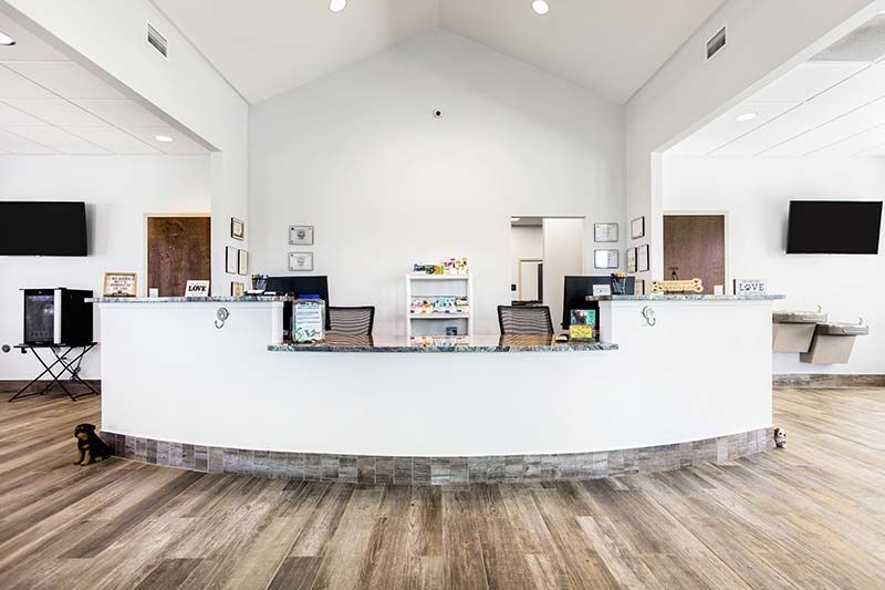 Open reception and waiting area with wood flooring at Critter Care veterinary clinic