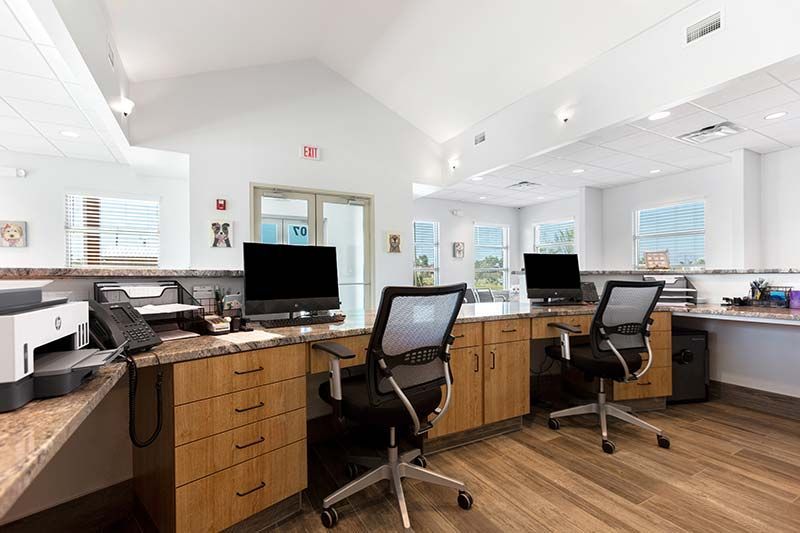 Private office with wood desk and ergonomic seating at Critter Care veterinary clinic