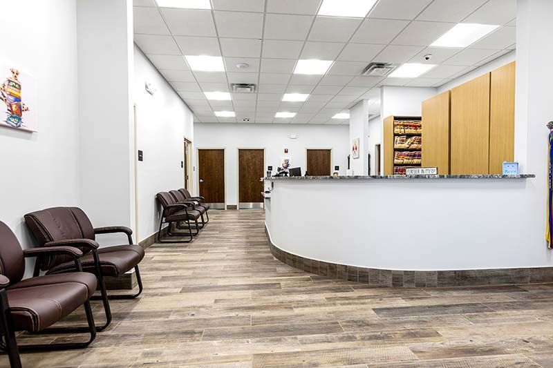 Curved reception desk and open waiting area at Critter Care veterinary clinic
