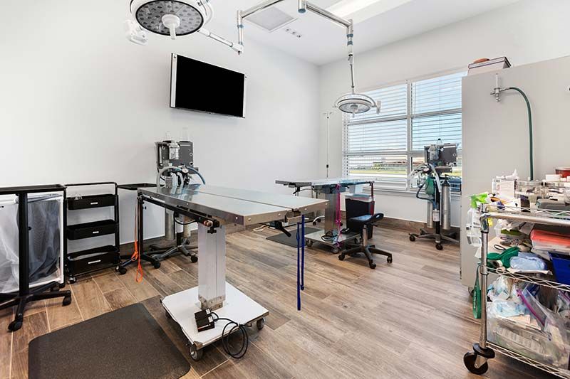 Bright veterinary exam room with wall-mounted TV and wood flooring at Critter Care Clinic