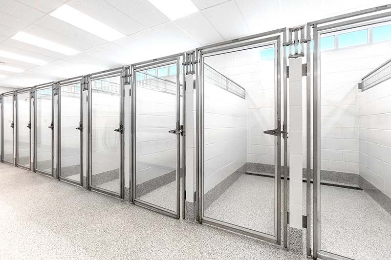 Modern hallway with floor-to-ceiling glass partitions at Critter Care veterinary clinic