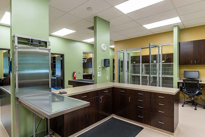 Interior kennel area with dark wood cabinetry at Grace Animal Hospital
