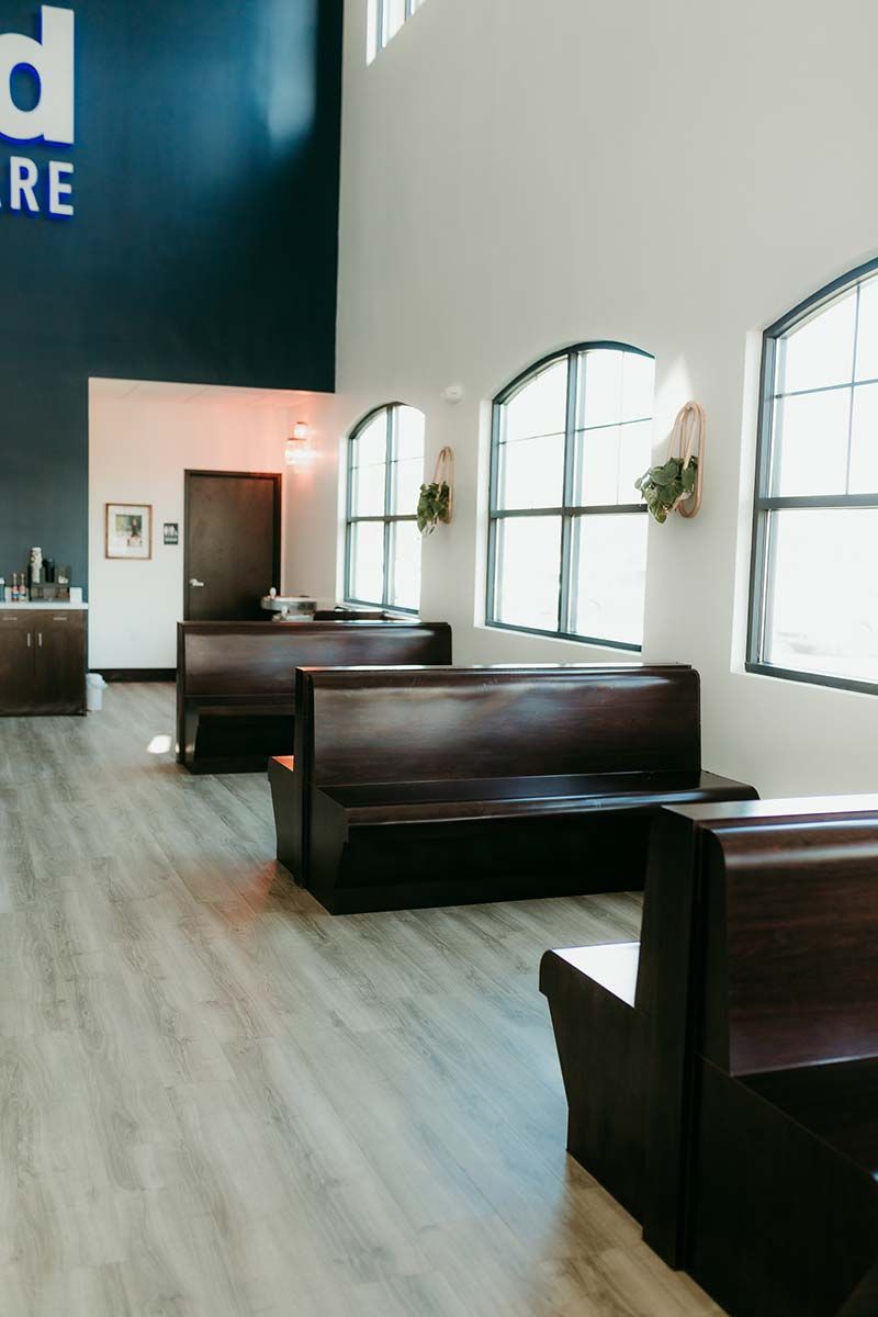 Bright waiting area with natural light at Kind Animal Care veterinary clinic