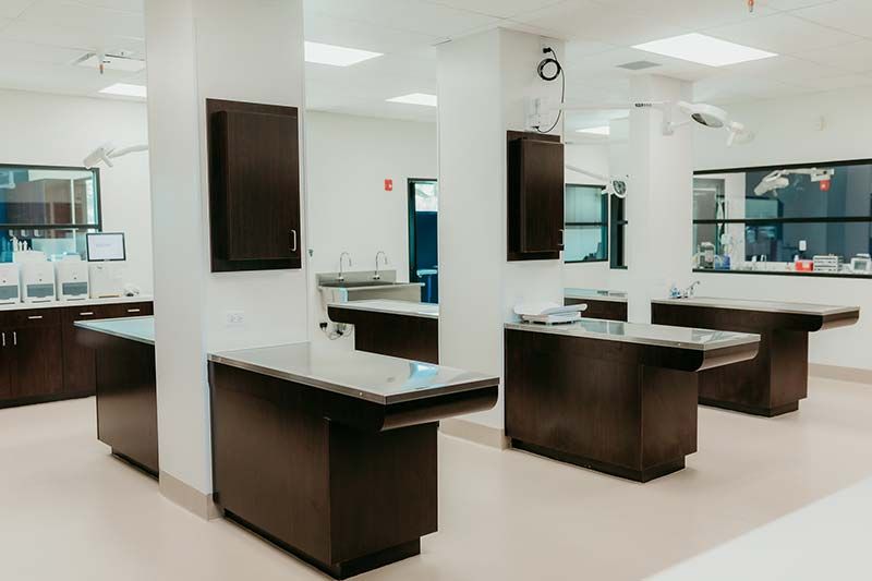 Interior exam room with dark wood cabinetry at Kind Animal Care veterinary clinic