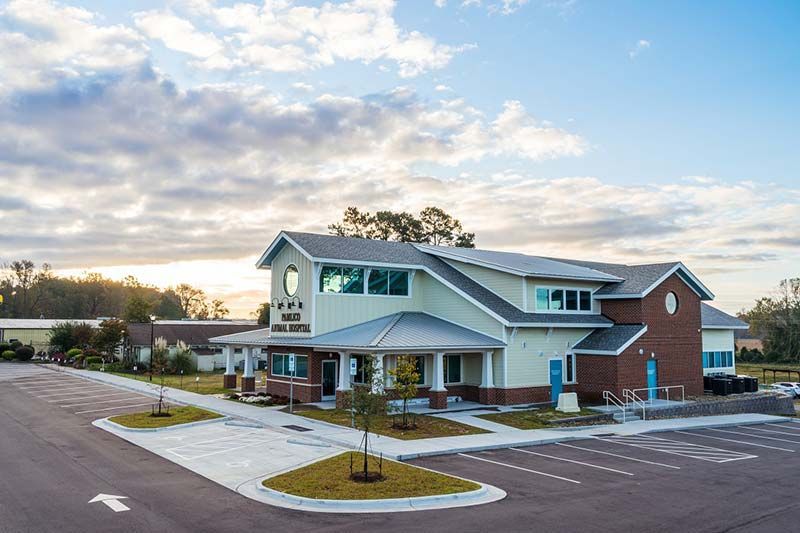 Exterior daytime view of Pamlico Animal Hospital with landscaping and dramatic sky