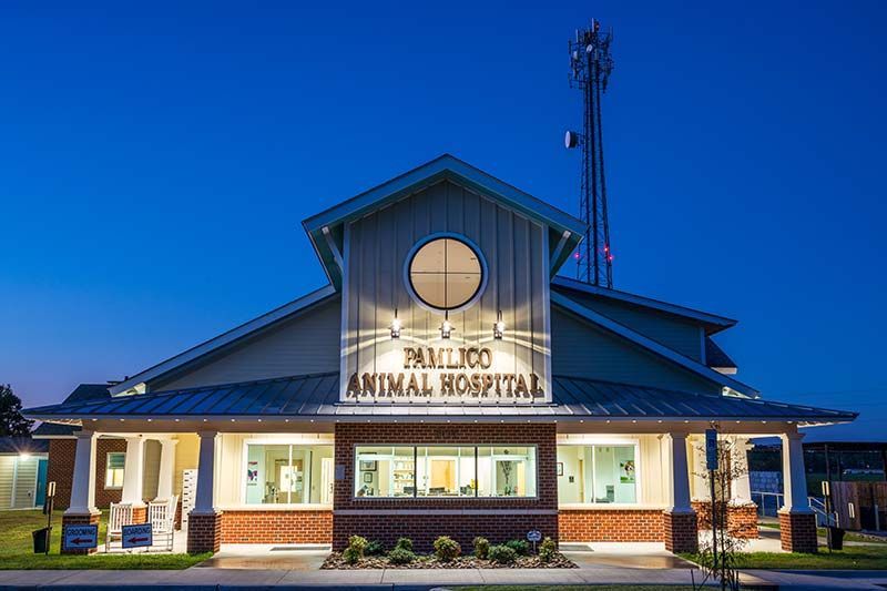 Exterior night view of Pamlico Animal Hospital with illuminated signage