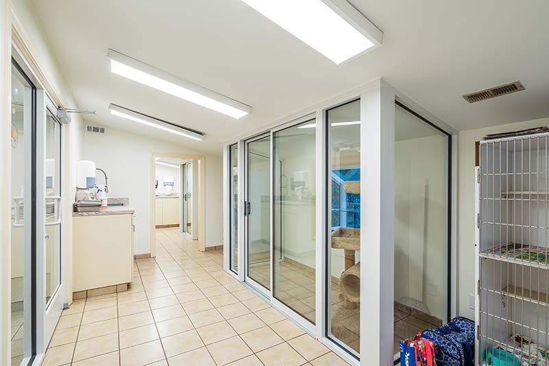 Clean interior corridor with glass partition doors at Pamlico Animal Hospital