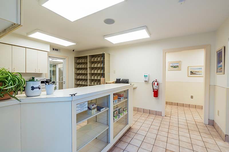 In-house pharmacy and medication storage area at Pamlico Animal Hospital