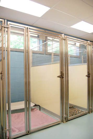 Glass and metal kennel enclosures in boarding area at All About Animals Veterinary Clinic