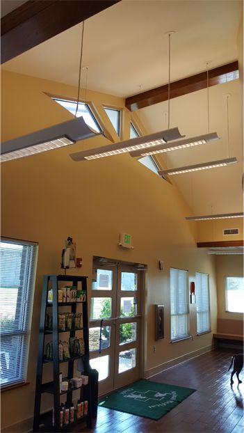 Bright interior room with vaulted ceiling, skylights, and natural light at Animal Medical Clinic Huntsville