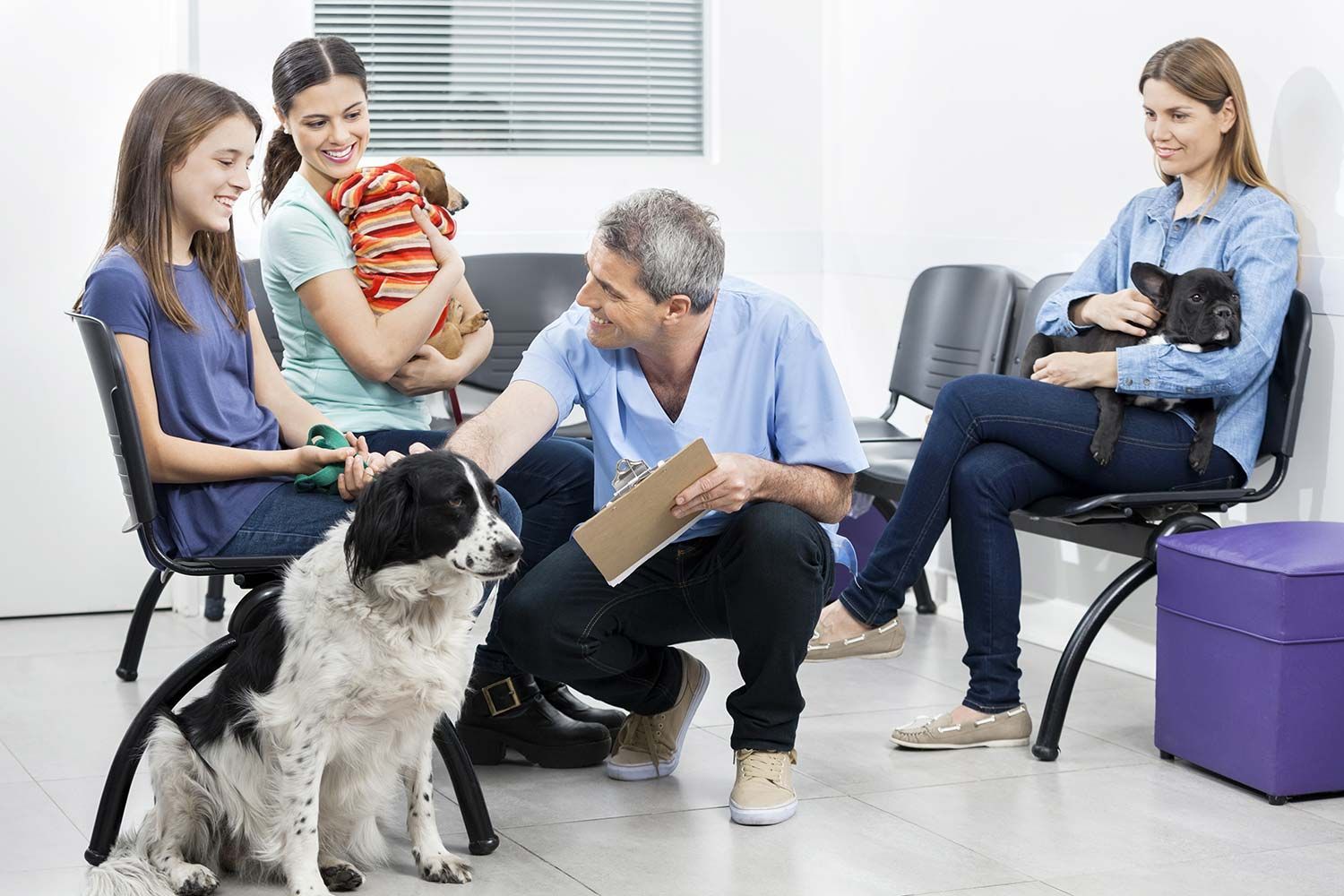 Veterinarian consulting a dog owner in a waiting room, with a dog and seated people nearby