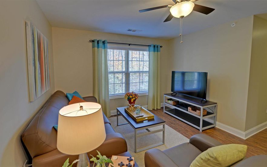 Bright living room with brown sofa, TV, coffee table, and window with blue curtains