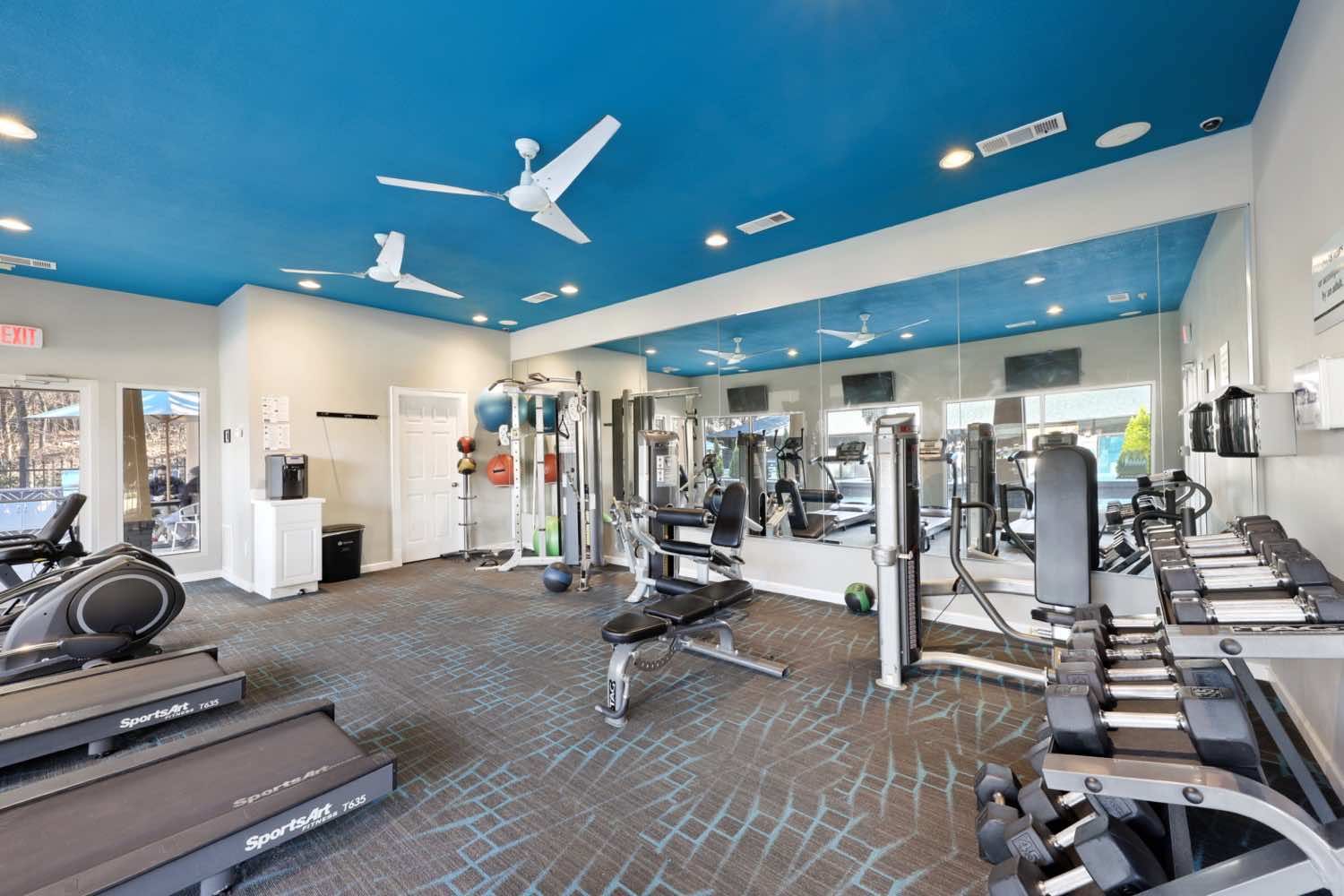Bright gym interior with treadmills, weight machines, mirrors, and a blue ceiling with fans