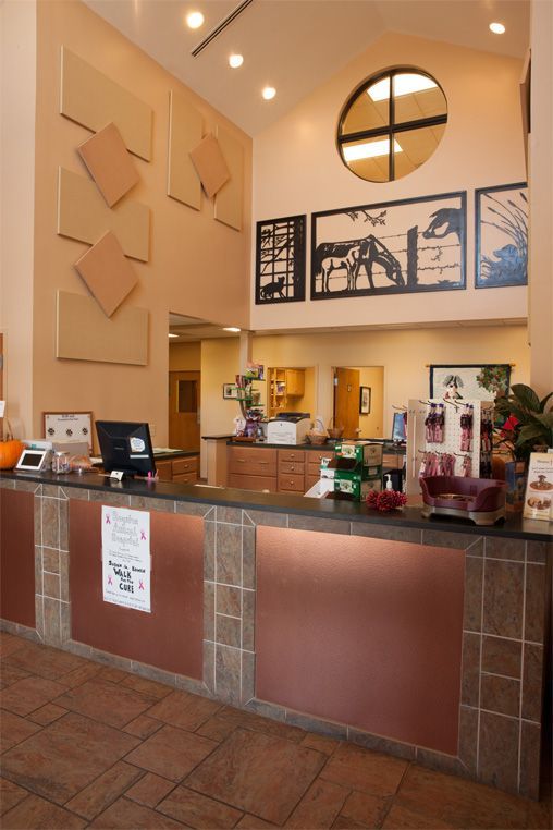Reception desk with dark tile accent and retail display area at Royston Animal Hospital