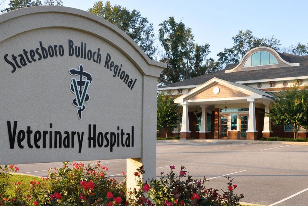Statesboro Bulloch Regional Veterinary Hospital monument signage with veterinary caduceus symbol and flowering landscaping