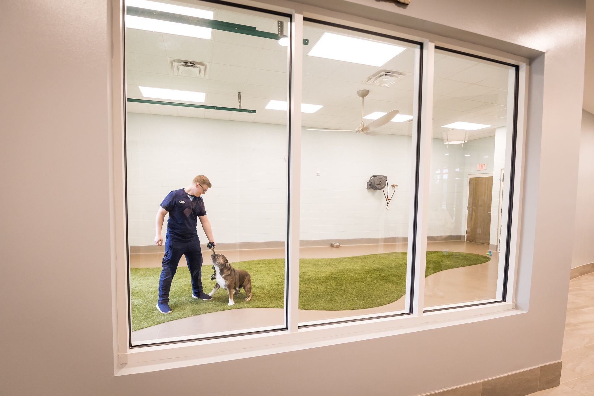 Person walking a dog indoors, viewed through large glass windows.