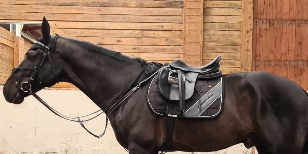 Close Contact Saddles