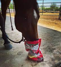 Horse Treats