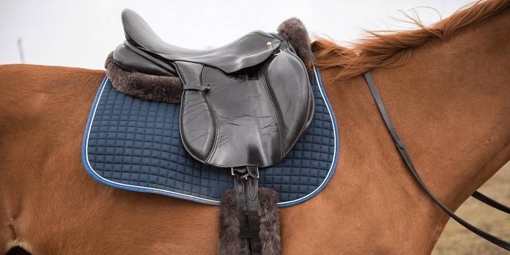 Dressage Saddle