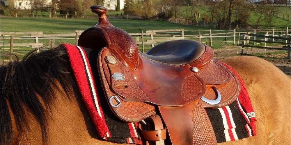 Endurance Saddle