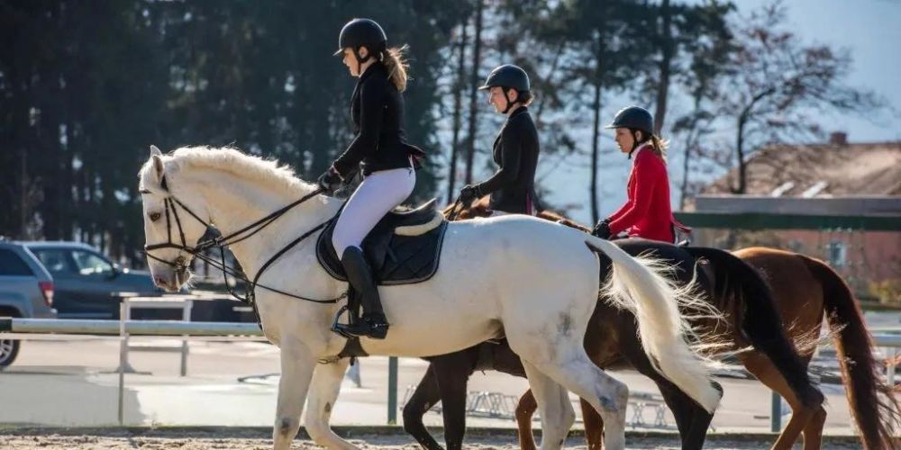 Horse Riding Apparel