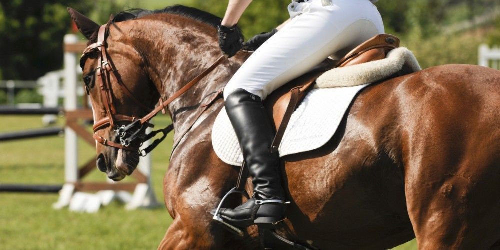 Horse Riding Boots