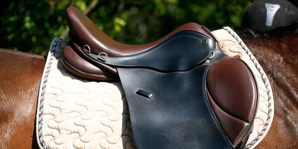 Horse Saddles