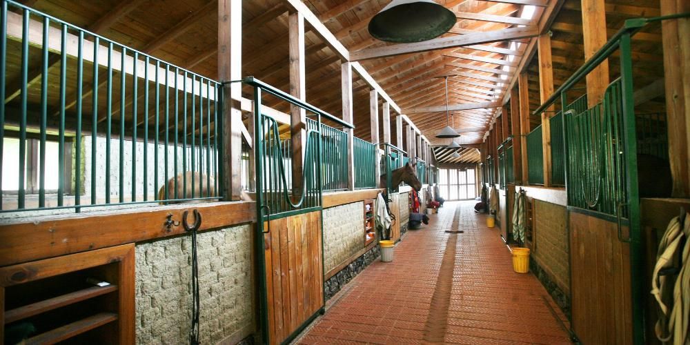 Horse Shelter Home