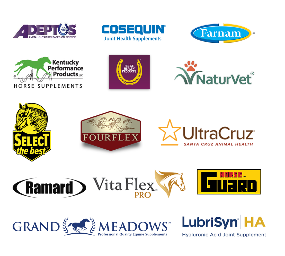 Partners Logo