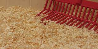 Pine Bedding