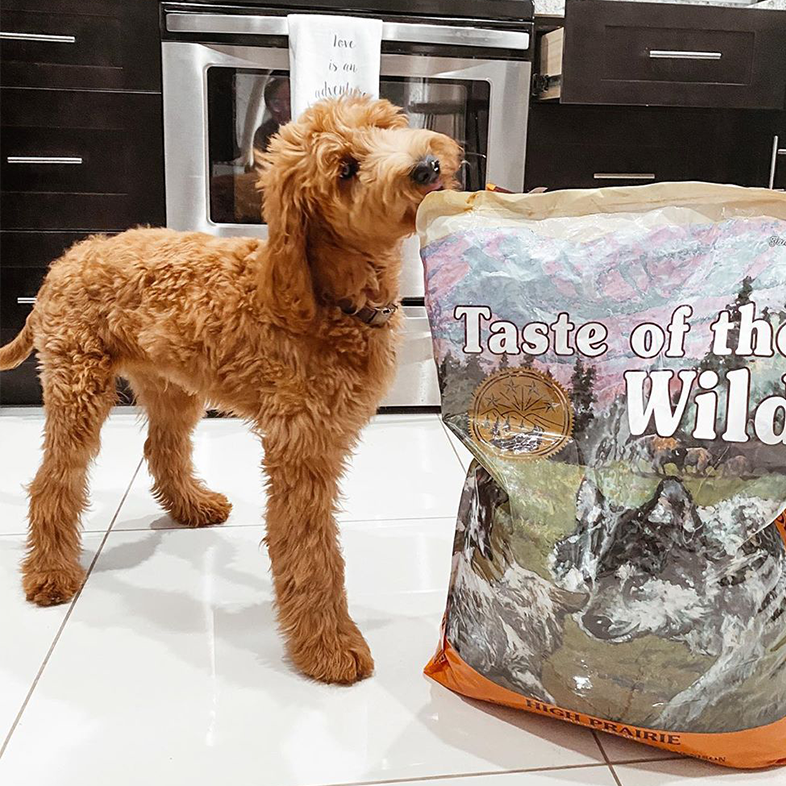 Quality Dog Food