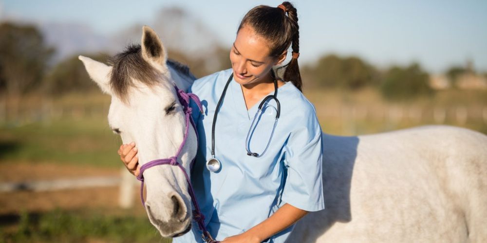 Veterinarian or Equine Nutritionist