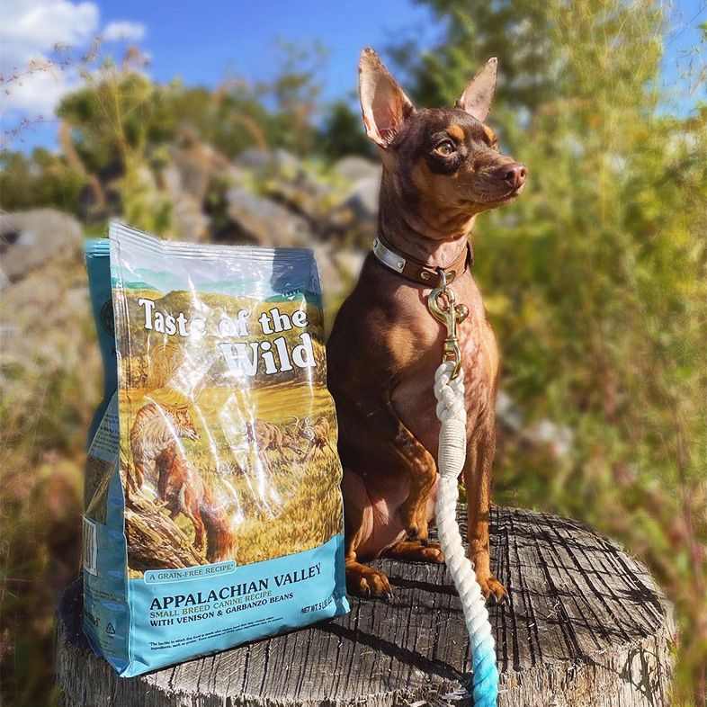 Dog Food